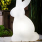 PlayRabbit - Speelse Tuinverlichting voor Binnen en Buiten