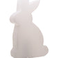 PlayRabbit - Speelse Tuinverlichting voor Binnen en Buiten