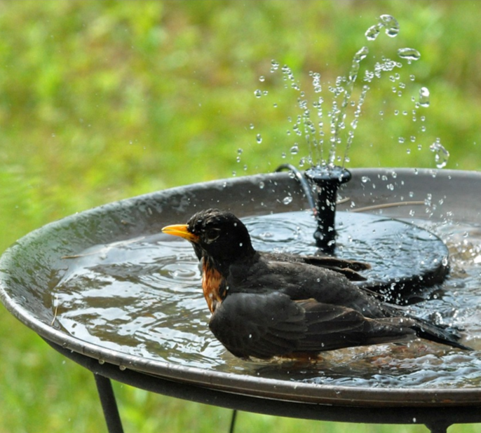 Flowbee – Elegante Solarfontein voor Tuinvogels
