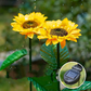 SolarBloom – Realistische Zonnebloem Tuinlamp voor Buiten