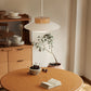 Culinaire Charm – Creatieve Glutinous Rice Bowl Hanglamp
