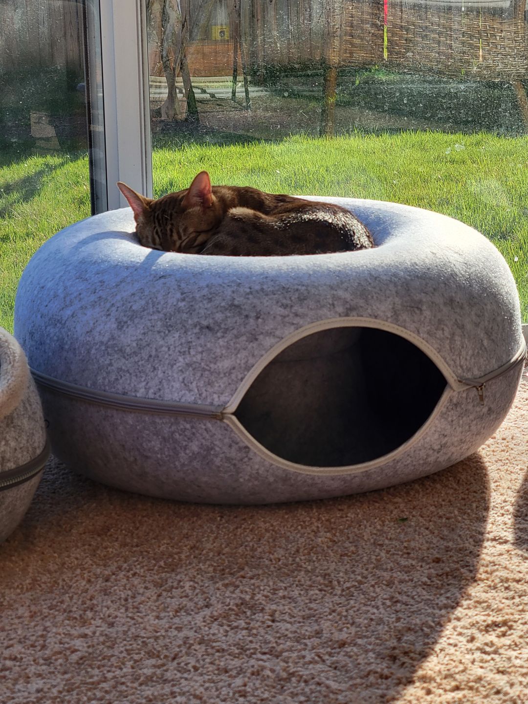 Purrfect Den - Luxe Kattentunnel met Slaapplek