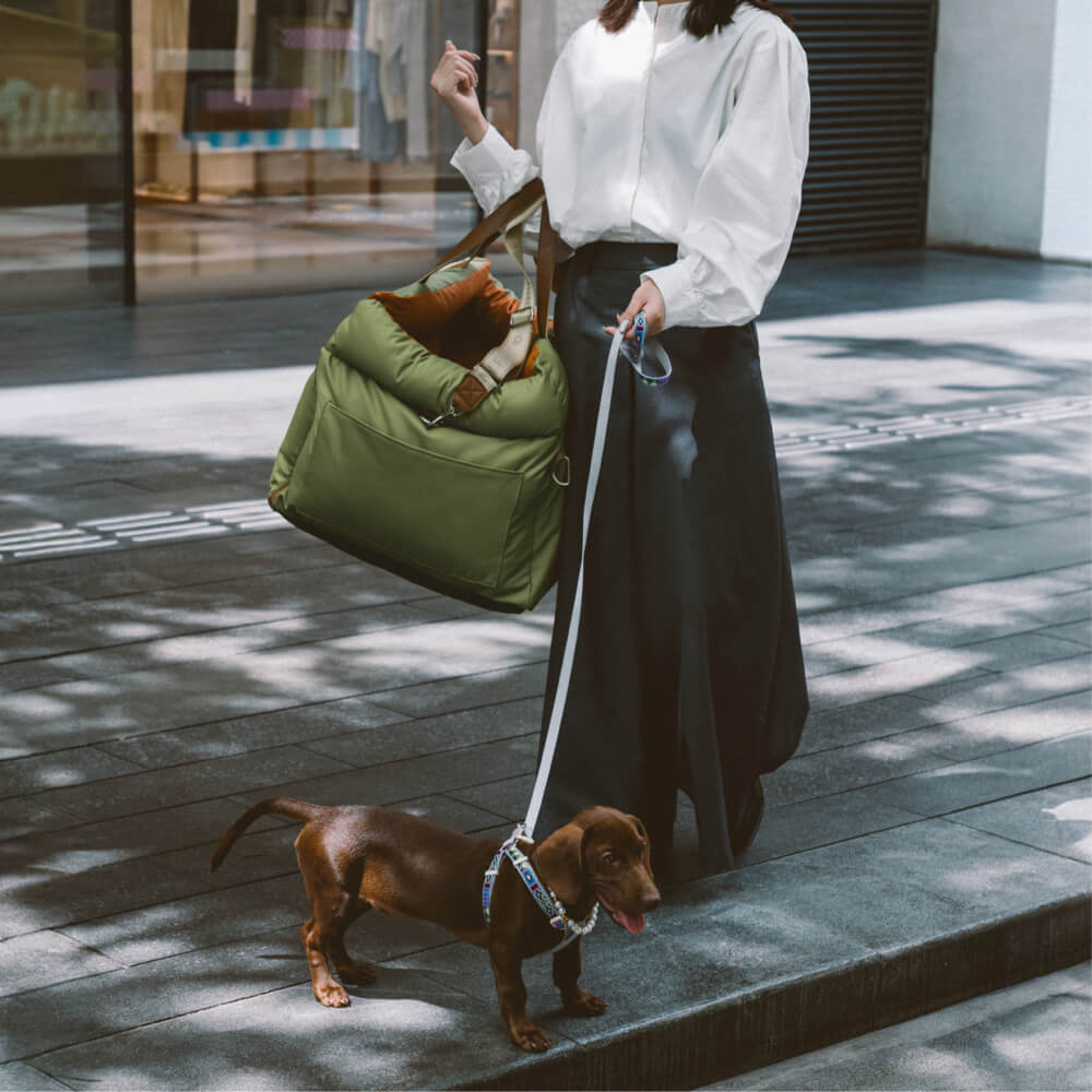 PawLuxury - Luxe Hondengereedschap voor Comfortabele Autoreizen