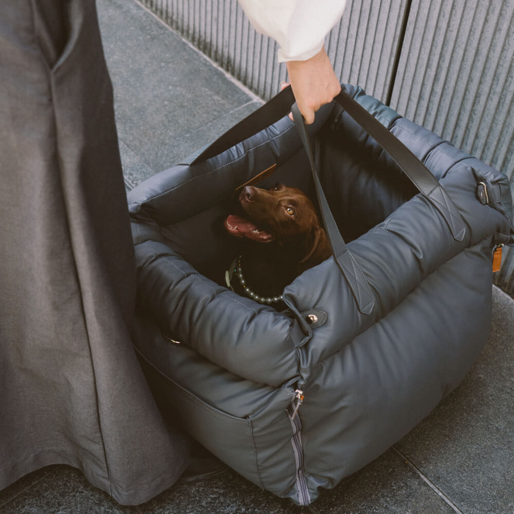 PawLuxury - Luxe Hondengereedschap voor Comfortabele Autoreizen