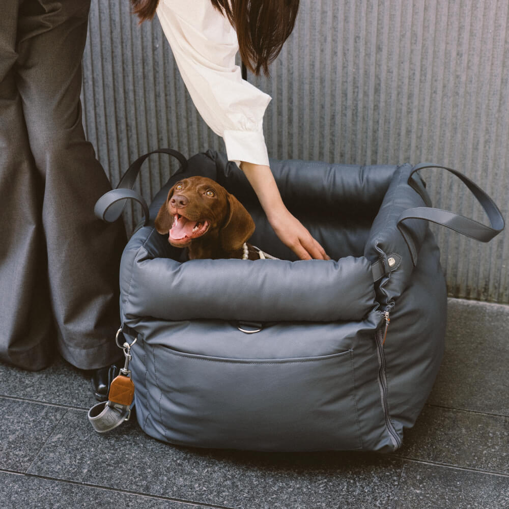 PawLuxury - Luxe Hondengereedschap voor Comfortabele Autoreizen