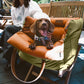 PawLuxury - Luxe Hondengereedschap voor Comfortabele Autoreizen