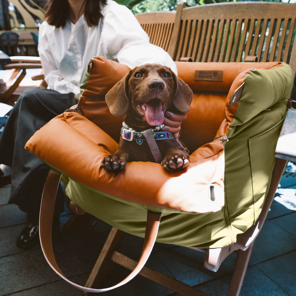 PawLuxury - Luxe Hondengereedschap voor Comfortabele Autoreizen