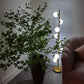 Doppler LED Boomlamp - Retro Elegante LED Staande Lamp