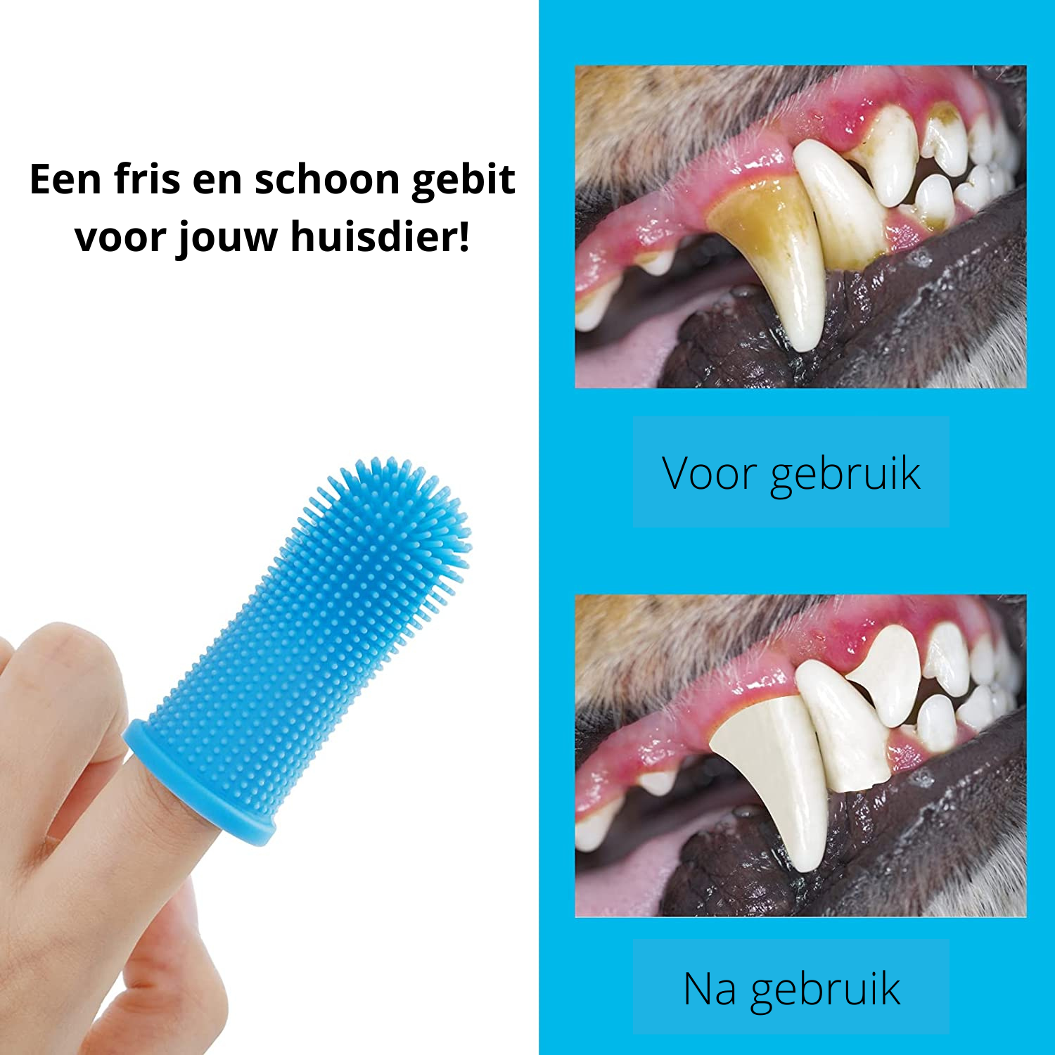 PawClean Pro - Veilig Honden Gebitsverzorging voor Thuis