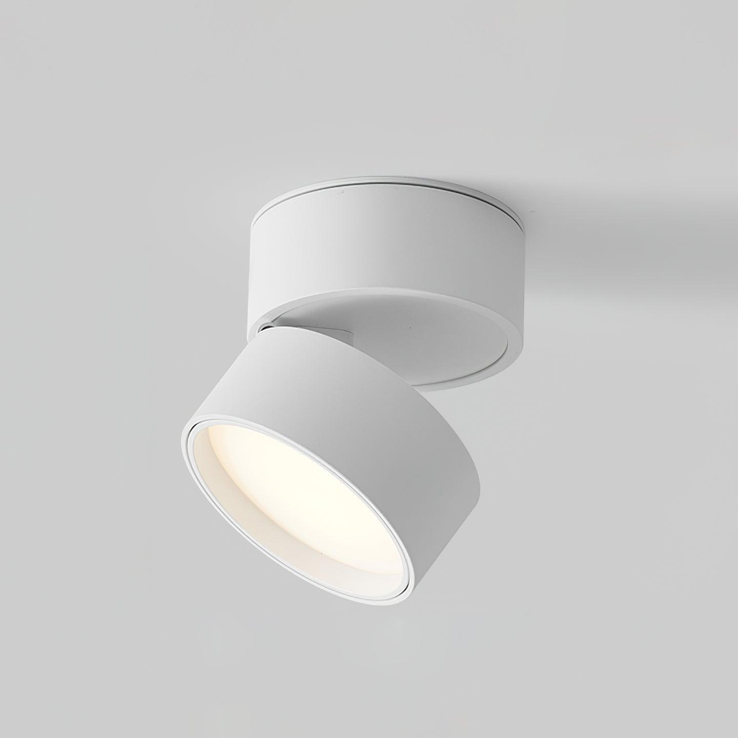 SavvinaLicht – Elegante Plafondlamp met Verstelbare LED Verlichting