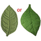 Leafy Comfort Baby Play - Betoverende Speelmat voor Baby’s