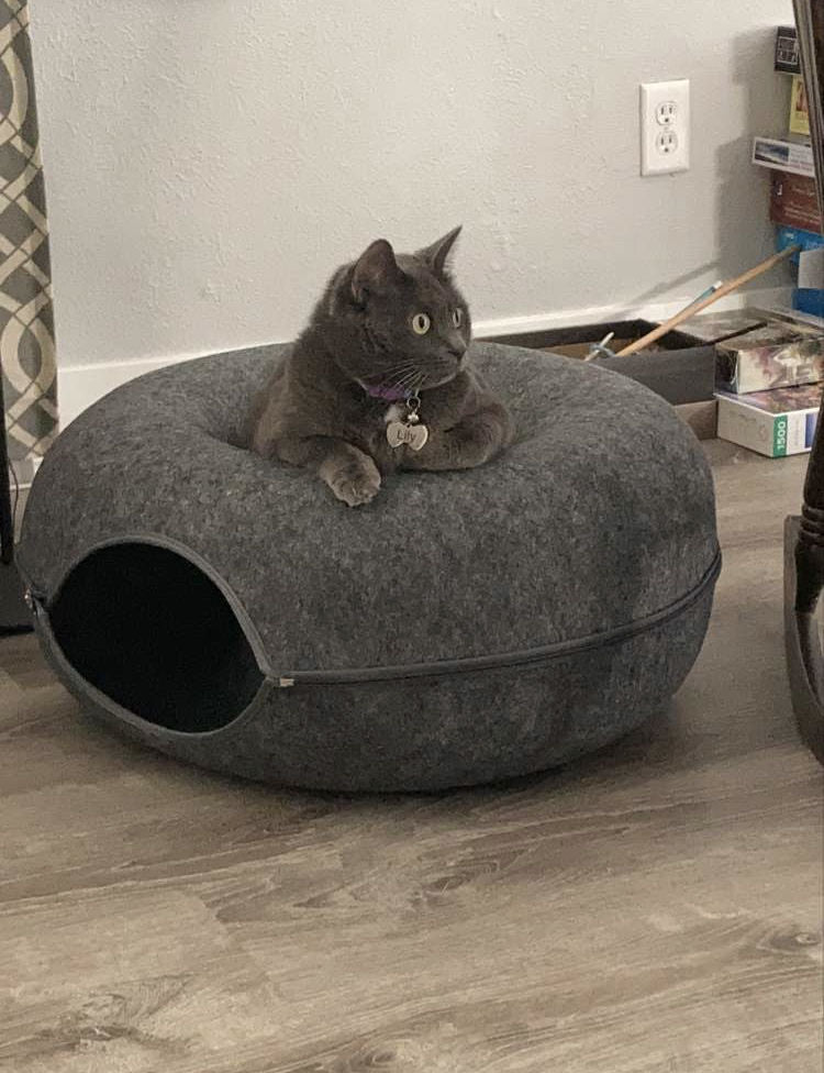 Purrfect Den - Luxe Kattentunnel met Slaapplek