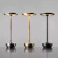 Industriële Dimbare Lamp met Rustiek Design – Zilver & Goud