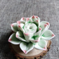 LotusBloom Incense Holder - Elegante Geuraccessoire voor Thuis