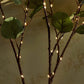 LumiVista Magisch Olijftakken Lichtsnoer - 70 cm Elegantie