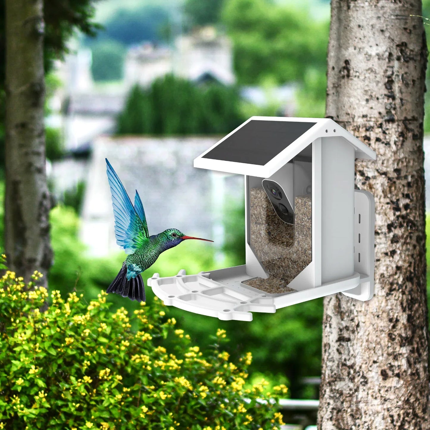 Draadloze Solar Vogelvoederplaats - Verken de natuur op unieke wijze!