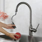 AquaStream Luxe – Verstelbare Keukenkraan met Handdouche