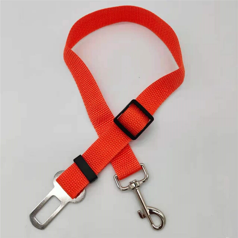 SafePaw – Luxe Honden Autoriem voor Veiligheid