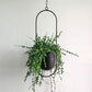 Elegance plantenhangers - Scandinavische Plantenhangers voor een Chic Interieur
