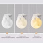 MoonGlow Light - Stijlvolle LED Wandlamp voor Kamers