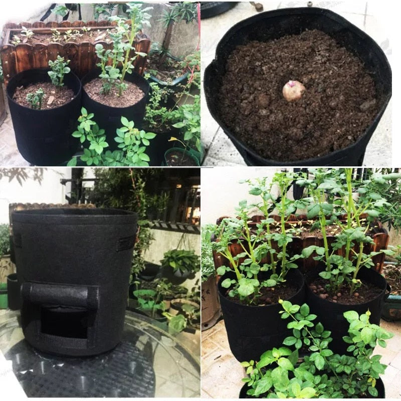 GrowMaster Pots – Stijlvolle Kweekpot voor Groenten