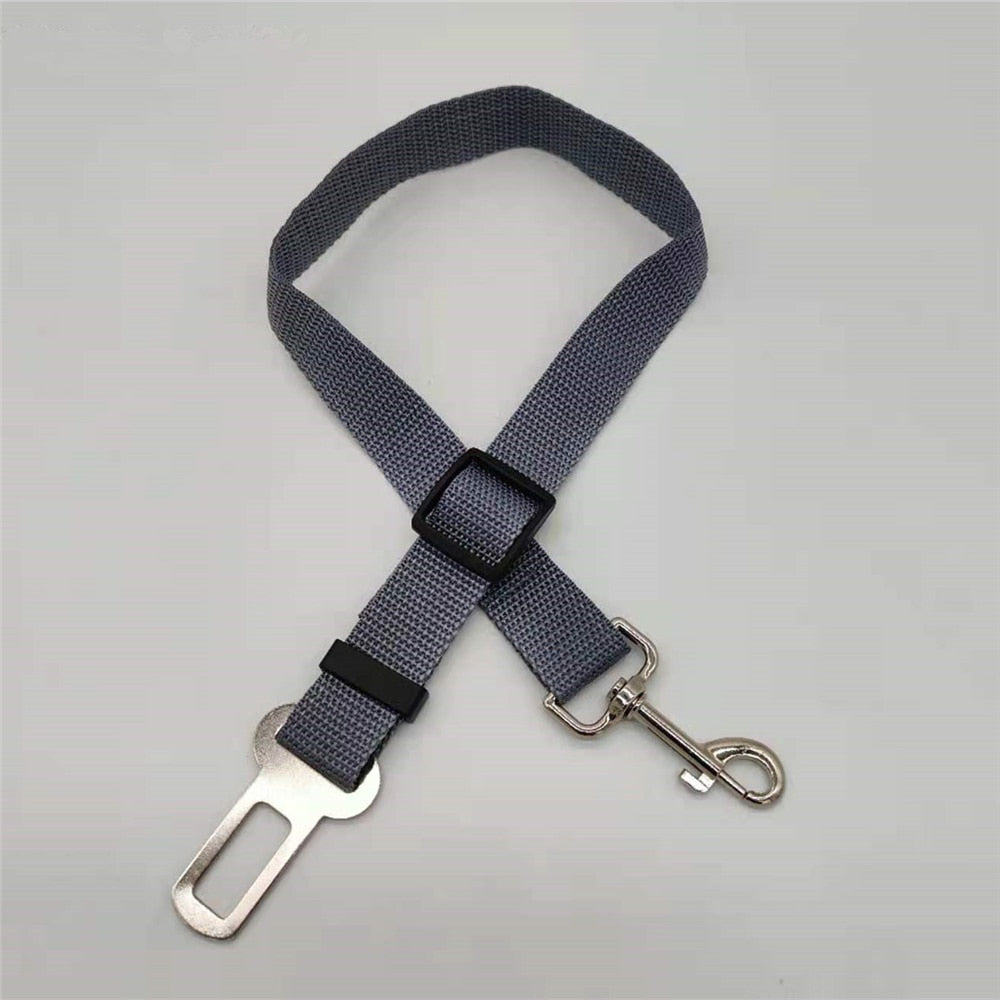 SafePaw – Luxe Honden Autoriem voor Veiligheid