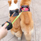 ProPet Duo Leash - De Ultieme Oplossing voor Honden