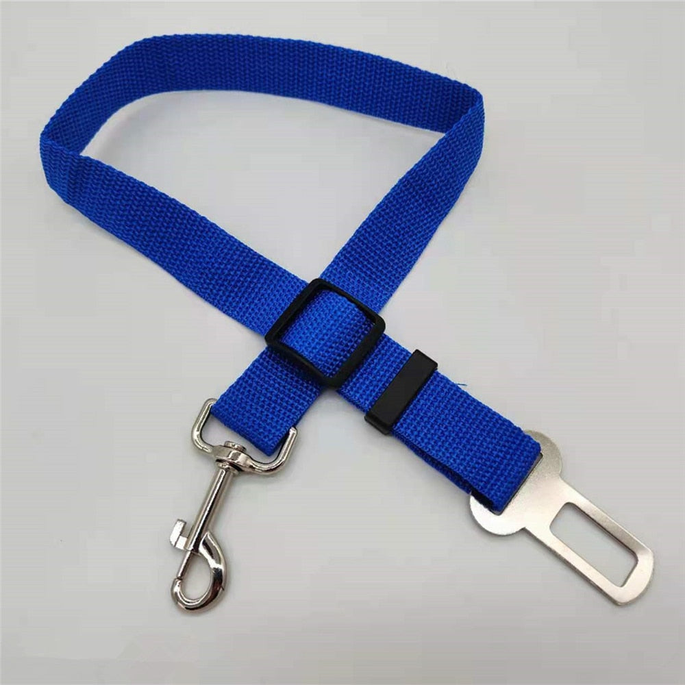 SafePaw – Luxe Honden Autoriem voor Veiligheid