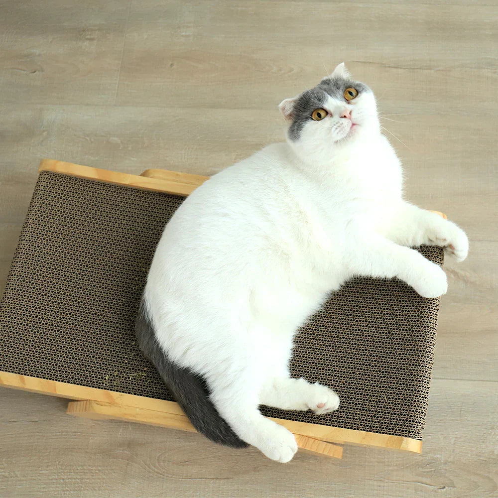 Smatch - Stijlvolle Krabpaal voor Katten