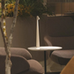 Verfijnde ArtisanGlow Lamp voor Luxe Interieurverlichting