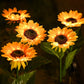 SolarBloom – Realistische Zonnebloem Tuinlamp voor Buiten