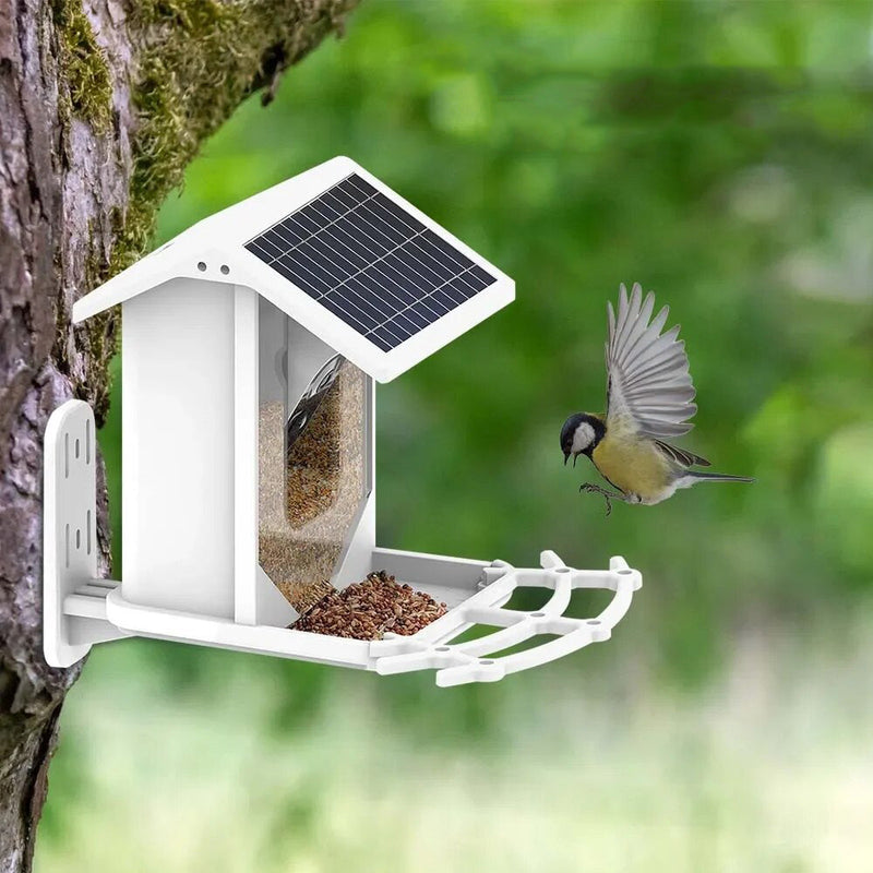 Draadloze Solar Vogelvoederplaats - Verken de natuur op unieke wijze!