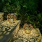 RadiantGlow – Waterdichte LED Tuinlamp met Solar