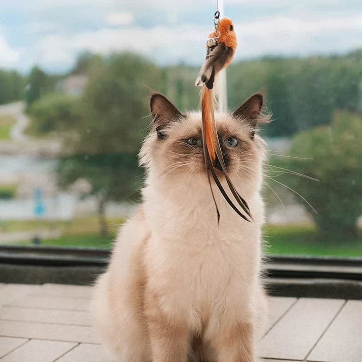 Natuurlijke Speeltijd - Interactieve Vogel voor Katten