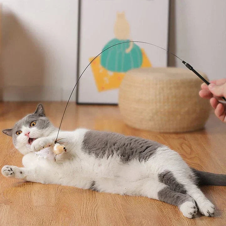 Natuurlijke Speeltijd - Interactieve Vogel voor Katten