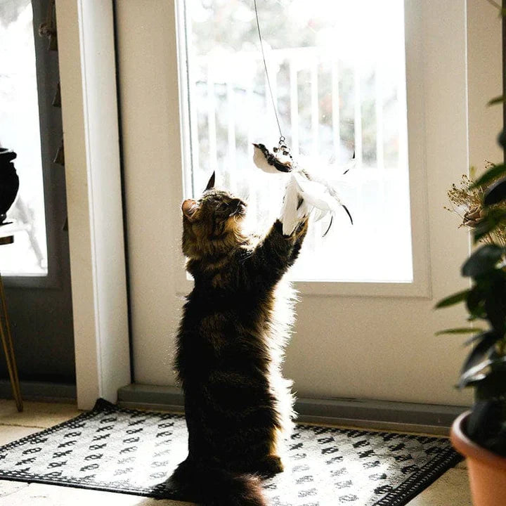 Natuurlijke Speeltijd - Interactieve Vogel voor Katten