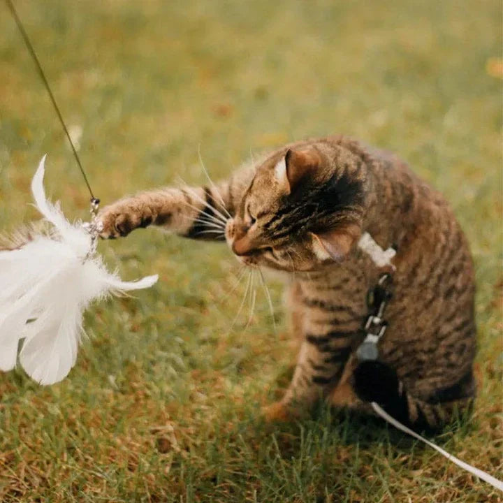 Natuurlijke Speeltijd - Interactieve Vogel voor Katten