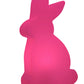 PlayRabbit - Speelse Tuinverlichting voor Binnen en Buiten