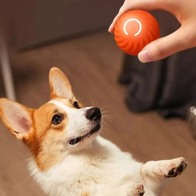 SmartPlay – Automatische Speelbal voor Honden