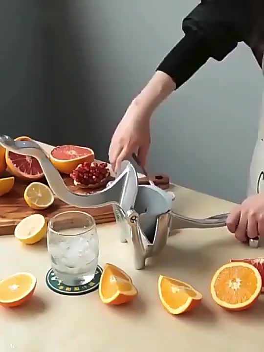 Sumba Juicer - Multifunctionele Verssapmachine voor Thuisgebruik