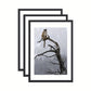 GalleryFrame – Set van 3 Zwarte Fotolijsten voor Wanden en Tafels