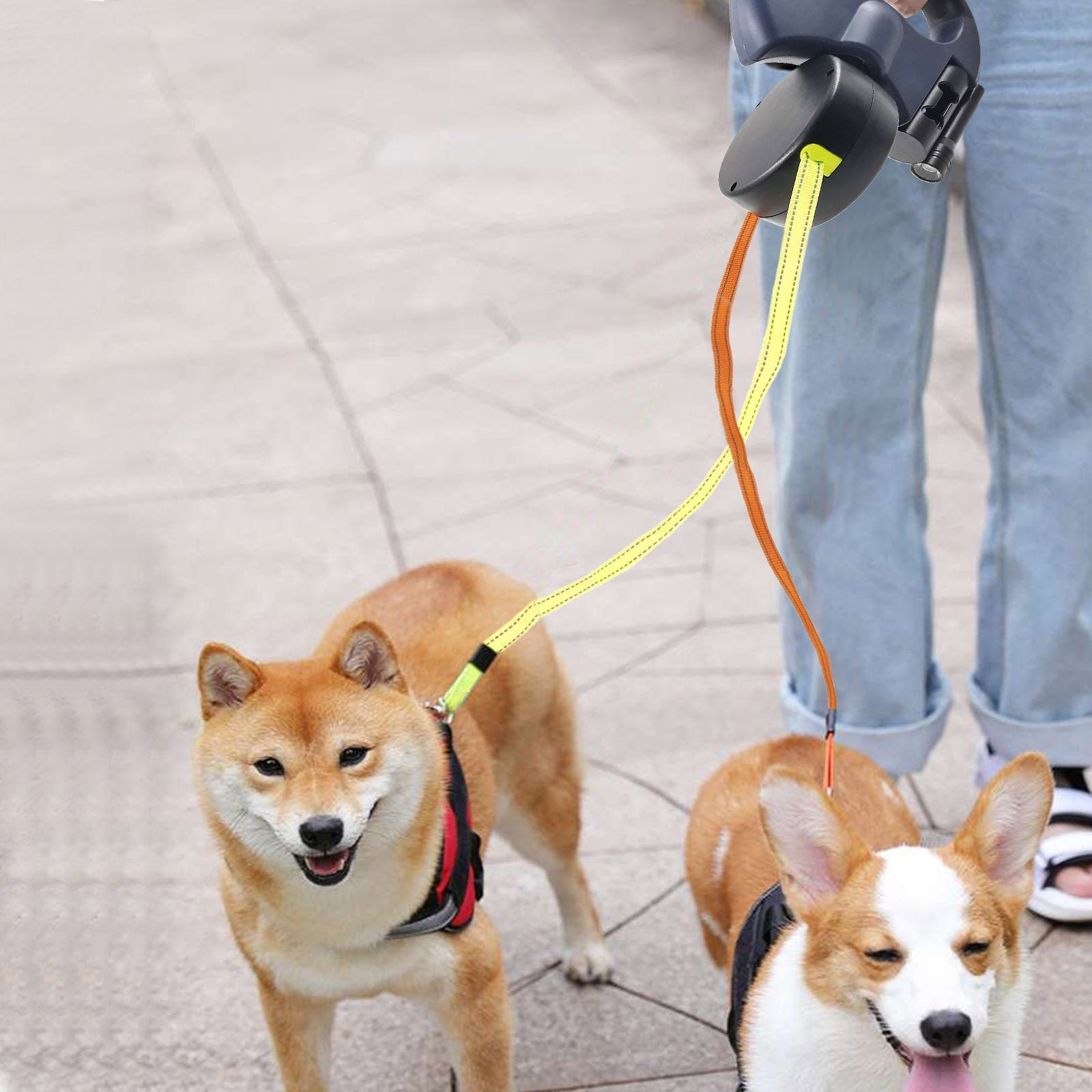 ProPet Duo Leash - De Ultieme Oplossing voor Honden