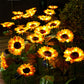 SolarBloom – Realistische Zonnebloem Tuinlamp voor Buiten
