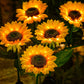 SolarBloom – Realistische Zonnebloem Tuinlamp voor Buiten
