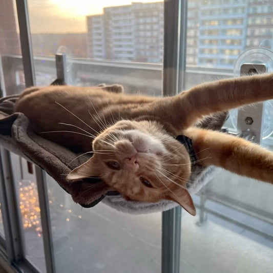 PawPerch – Stijlvolle Opvouwbare Kattenhangmat
