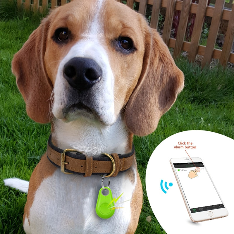 PawFinder - Slimme GPS Tracker voor Huisdieren