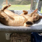 PawPerch – Stijlvolle Opvouwbare Kattenhangmat