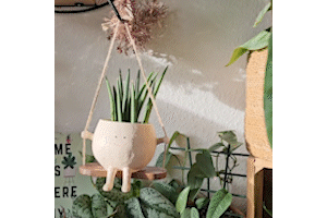 GreenOasis - Elegante Hangende Plantenmand voor een Rustige Sfeer