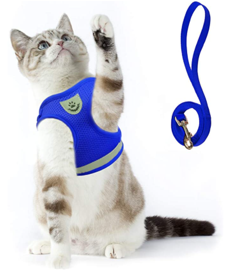 AdventureKit - Veilig Tuigje voor Avontuurlijke Katten