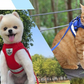 AdventureKit - Veilig Tuigje voor Avontuurlijke Katten
